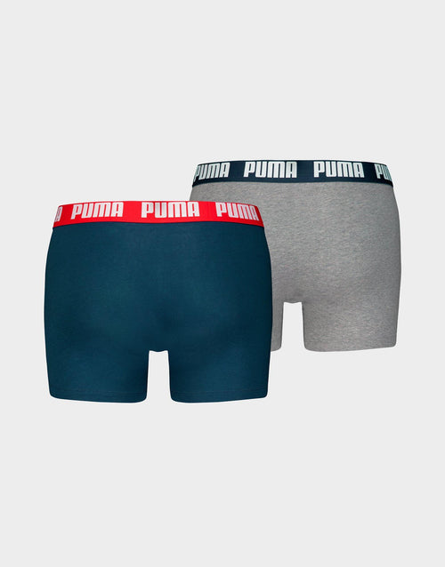 Basic Boxer (2 Pack)