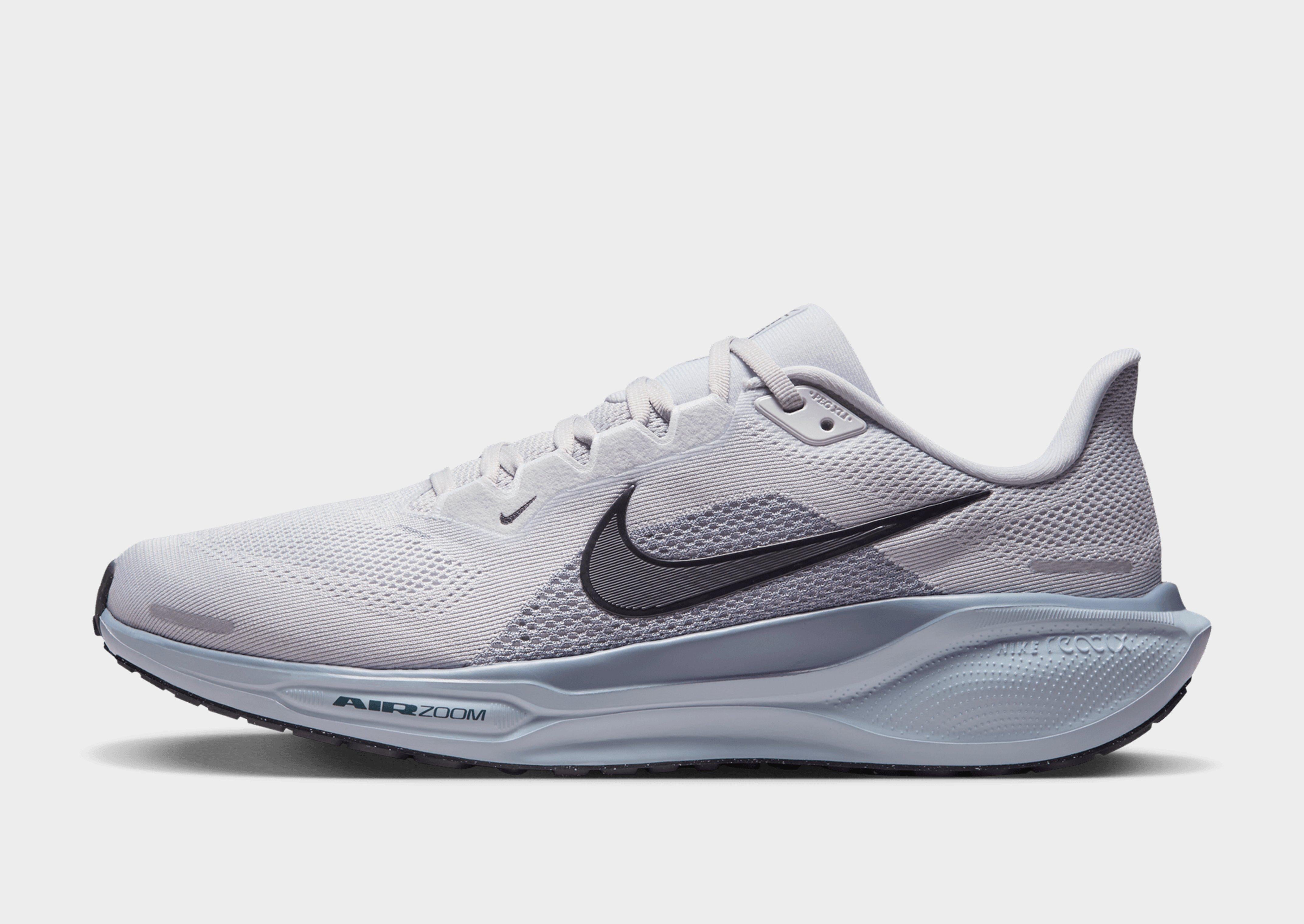 Pegasus 41