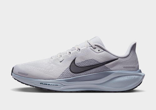 Pegasus 41