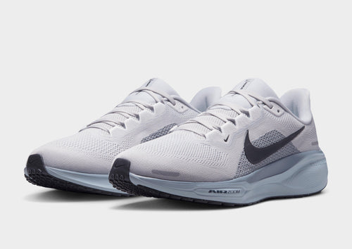 Pegasus 41