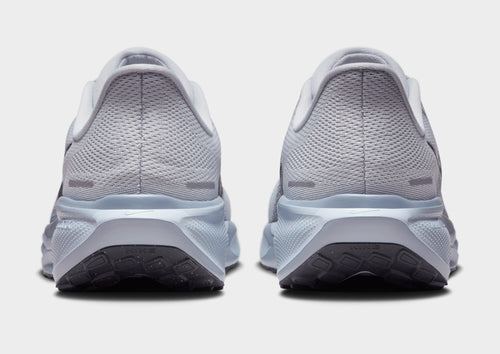 Pegasus 41