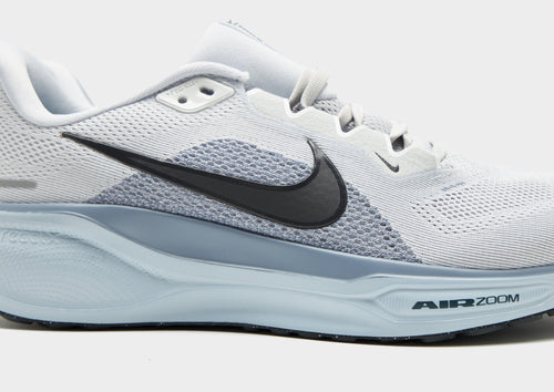Pegasus 41