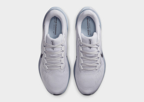 Pegasus 41