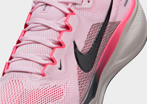 Pegasus 41
