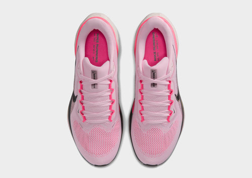 Pegasus 41