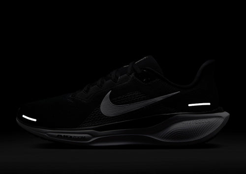 Pegasus 41