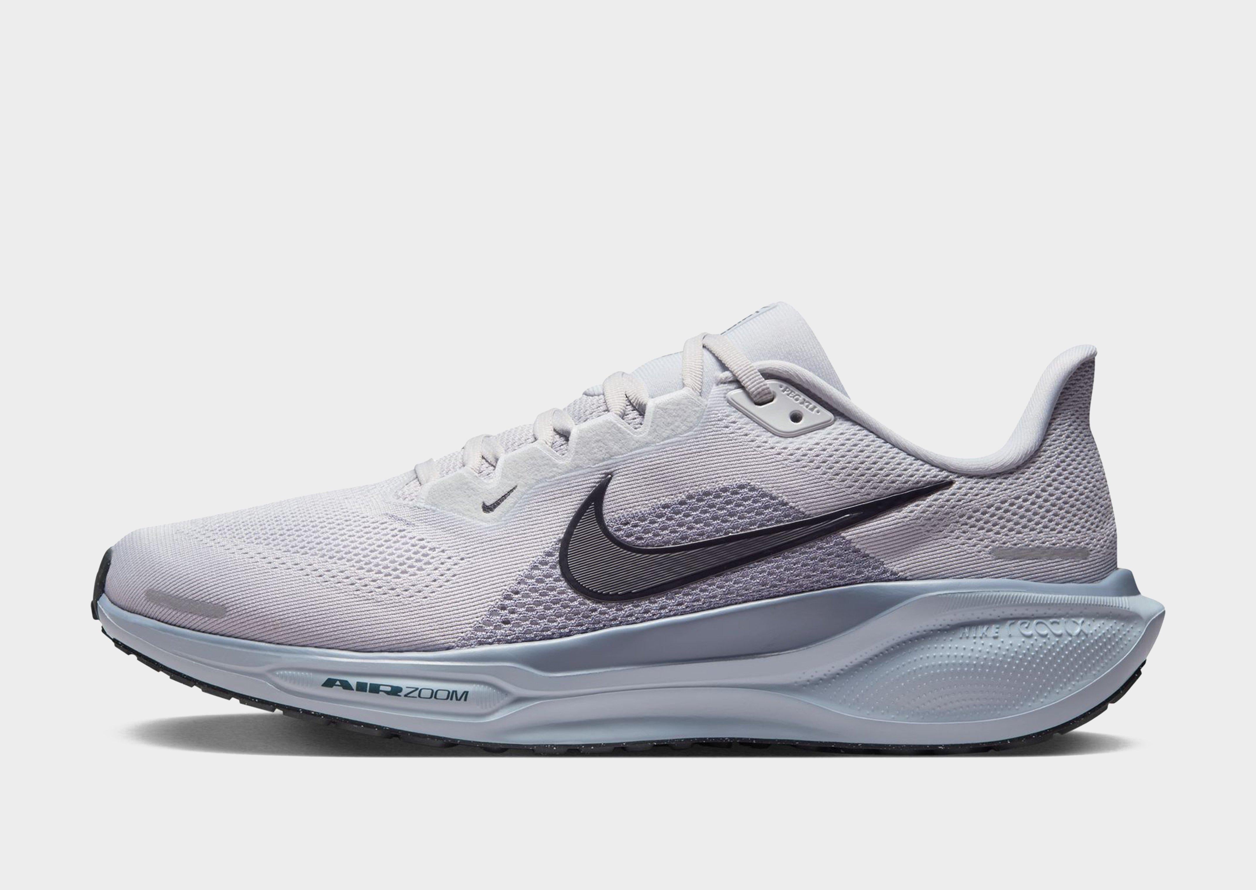Pegasus 41