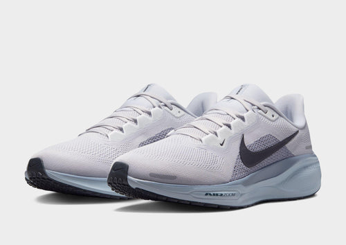 Pegasus 41