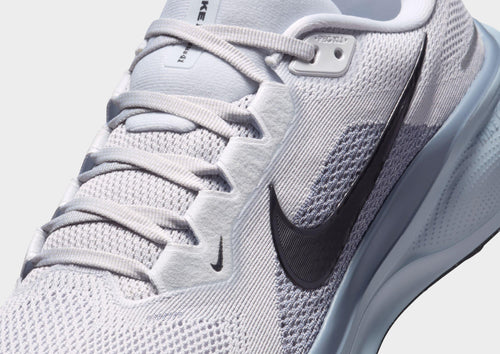 Pegasus 41