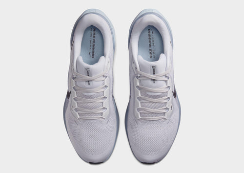 Pegasus 41