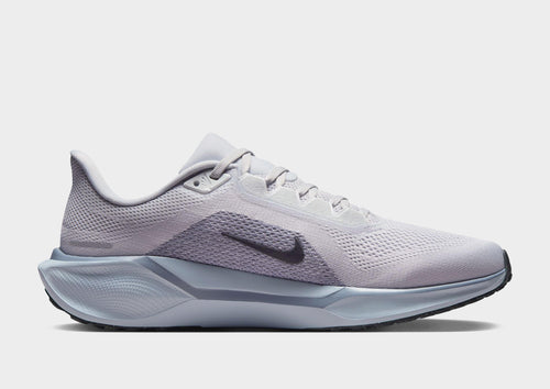 Pegasus 41