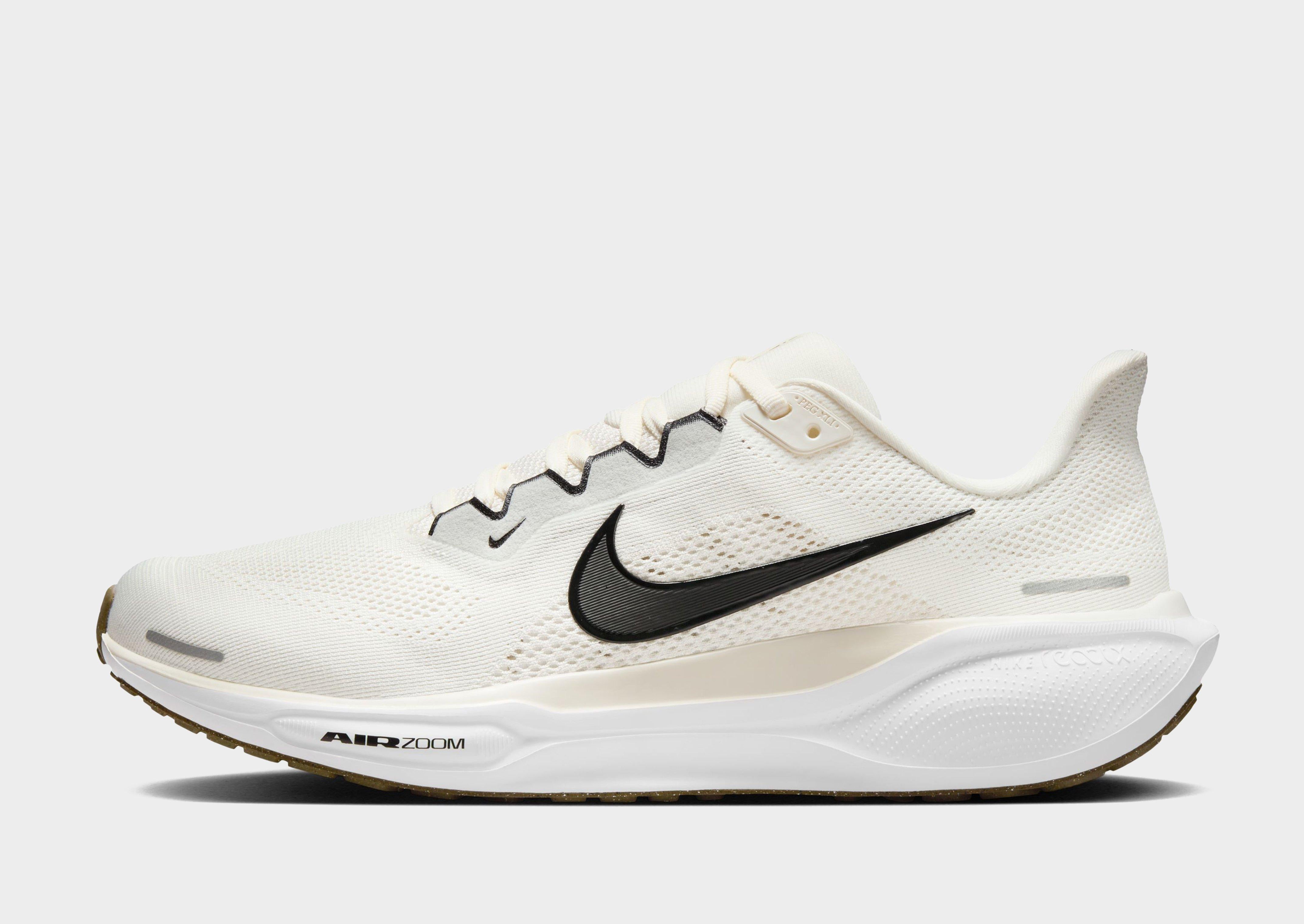 Pegasus 41