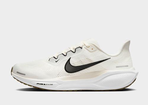 Pegasus 41