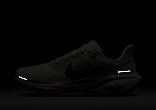 Pegasus 41
