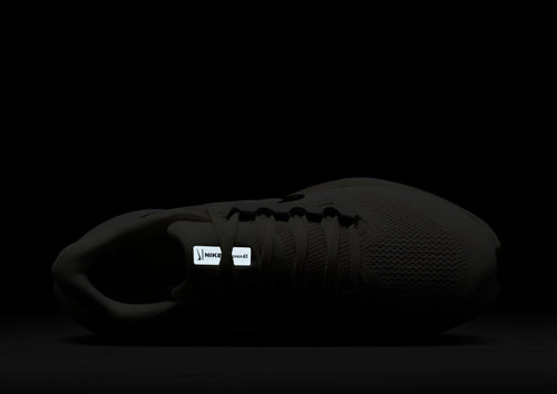 Pegasus 41