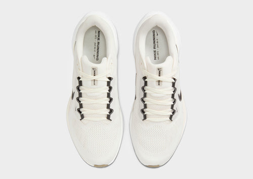 Pegasus 41