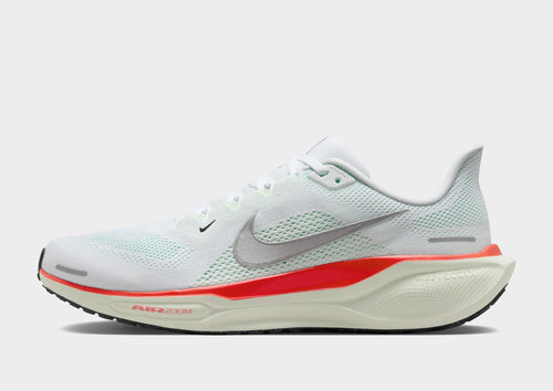 Pegasus 41