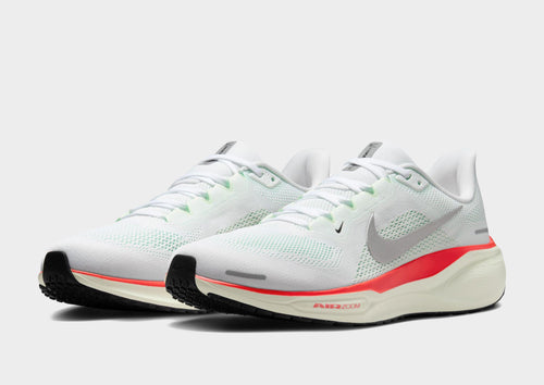 Pegasus 41