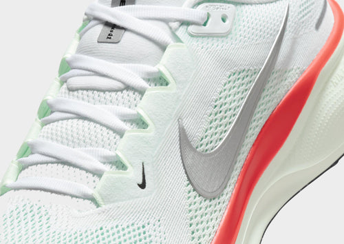 Pegasus 41
