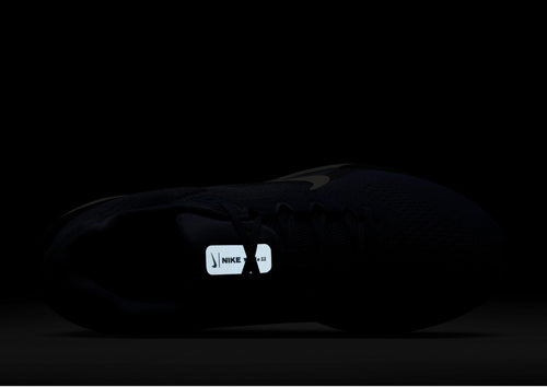 Winflo 11