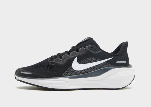 Pegasus 41 Junior's