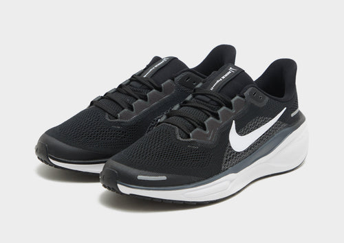 Pegasus 41 Junior's
