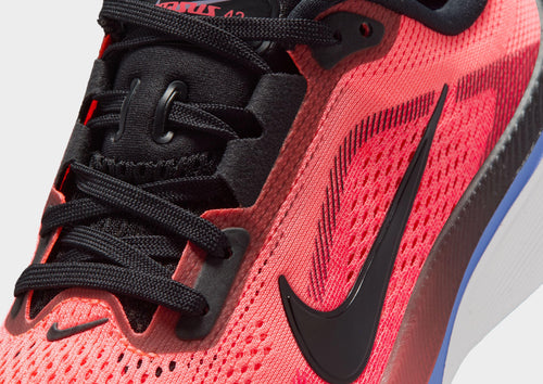 Pegasus 42 Junior's