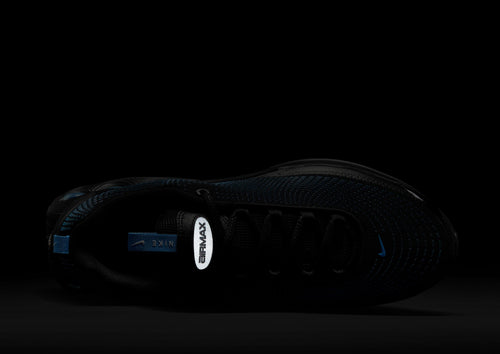 Air Max DN