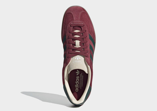 Gazelle Indoor