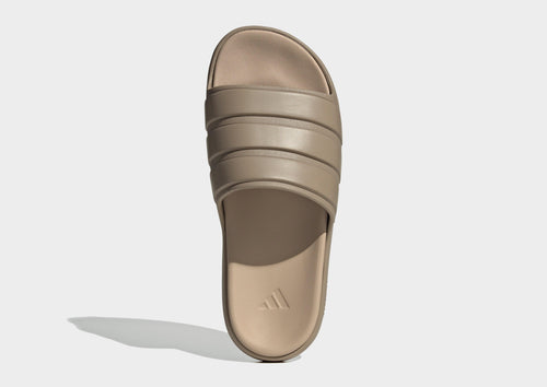 Znsory Slides