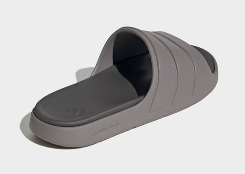Znsory Slides