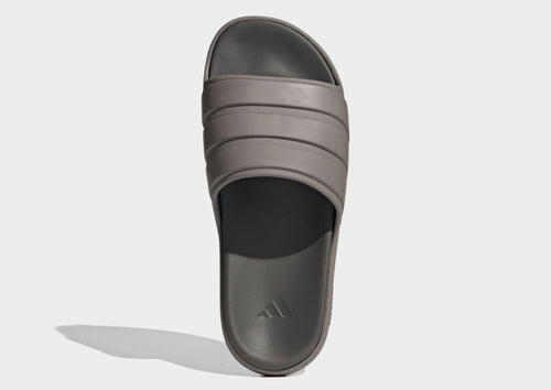 Znsory Slides