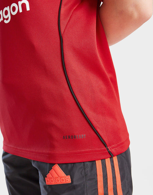 Jd Sports Adidas Tracksuit Mens 2019 Red Adidas Manchester United