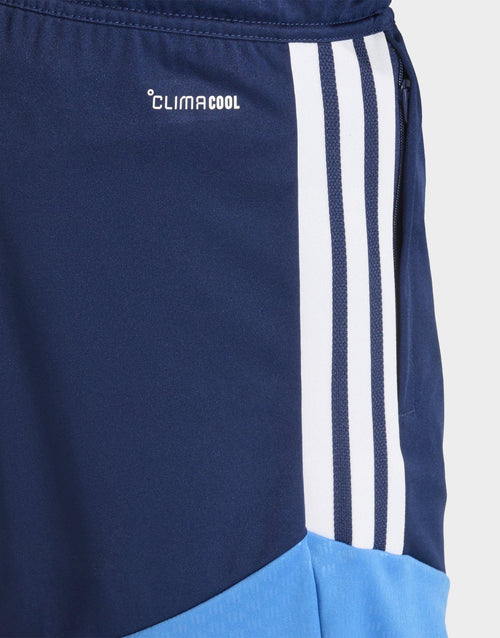 Northern Ireland Tiro 26 Training Shorts