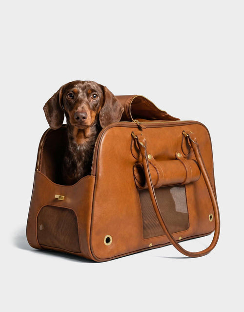 Pet Shoulder Bag Carrier