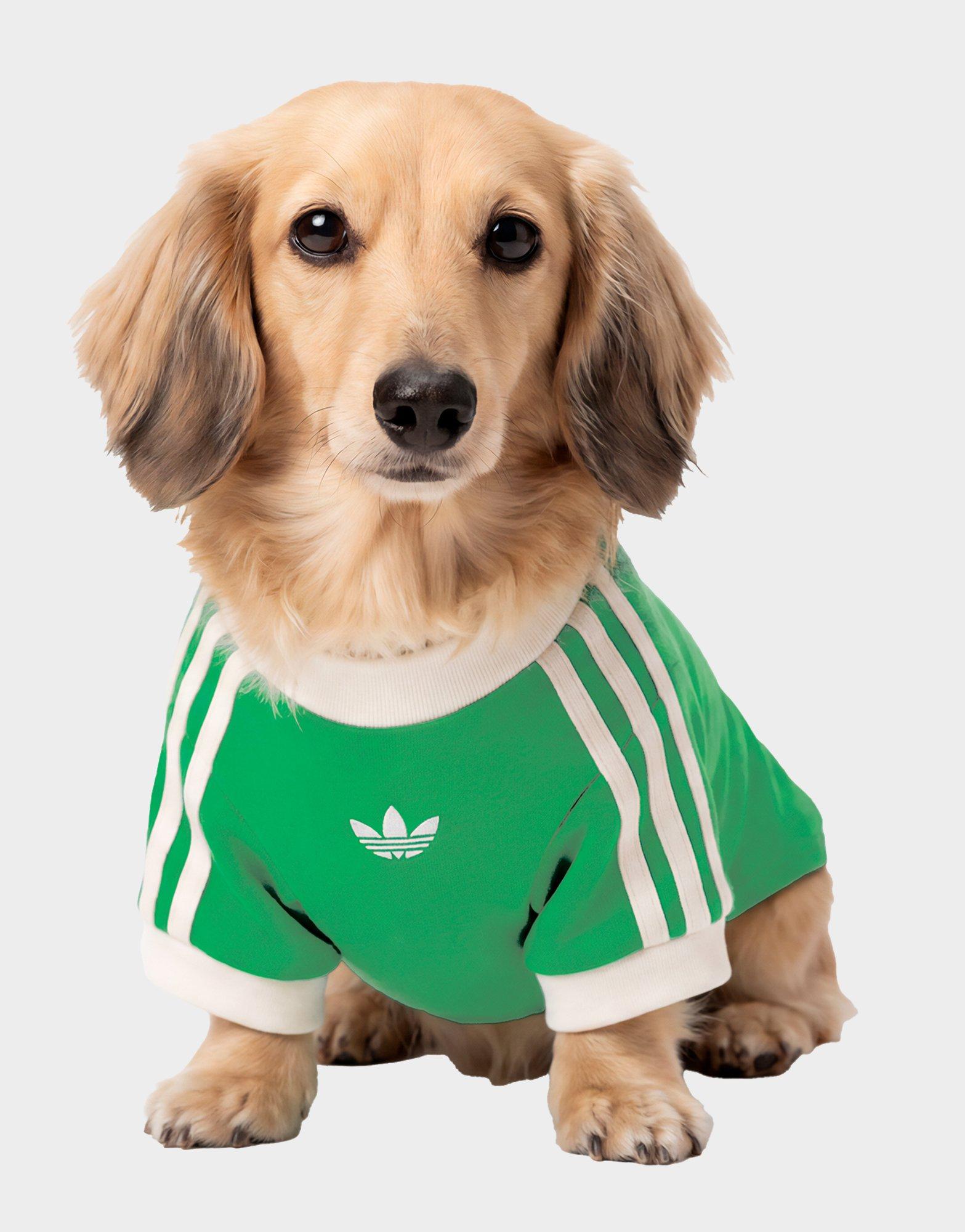 Pet Cali T-Shirt