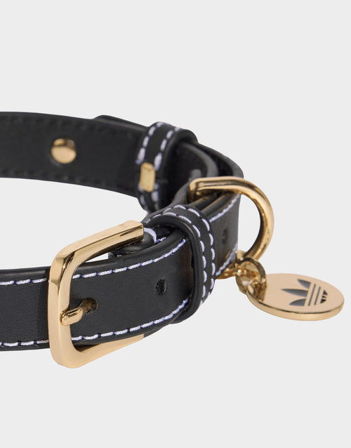 Pet Collar