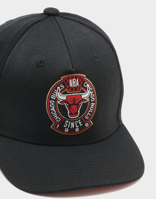 Chicago Bulls Cap